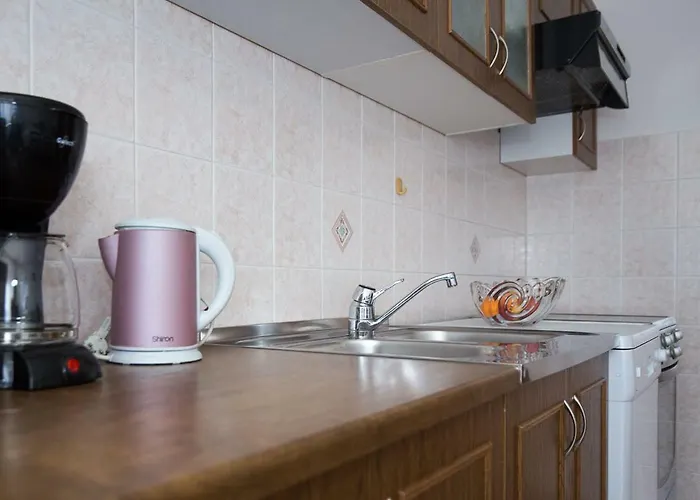 Apartment Marko